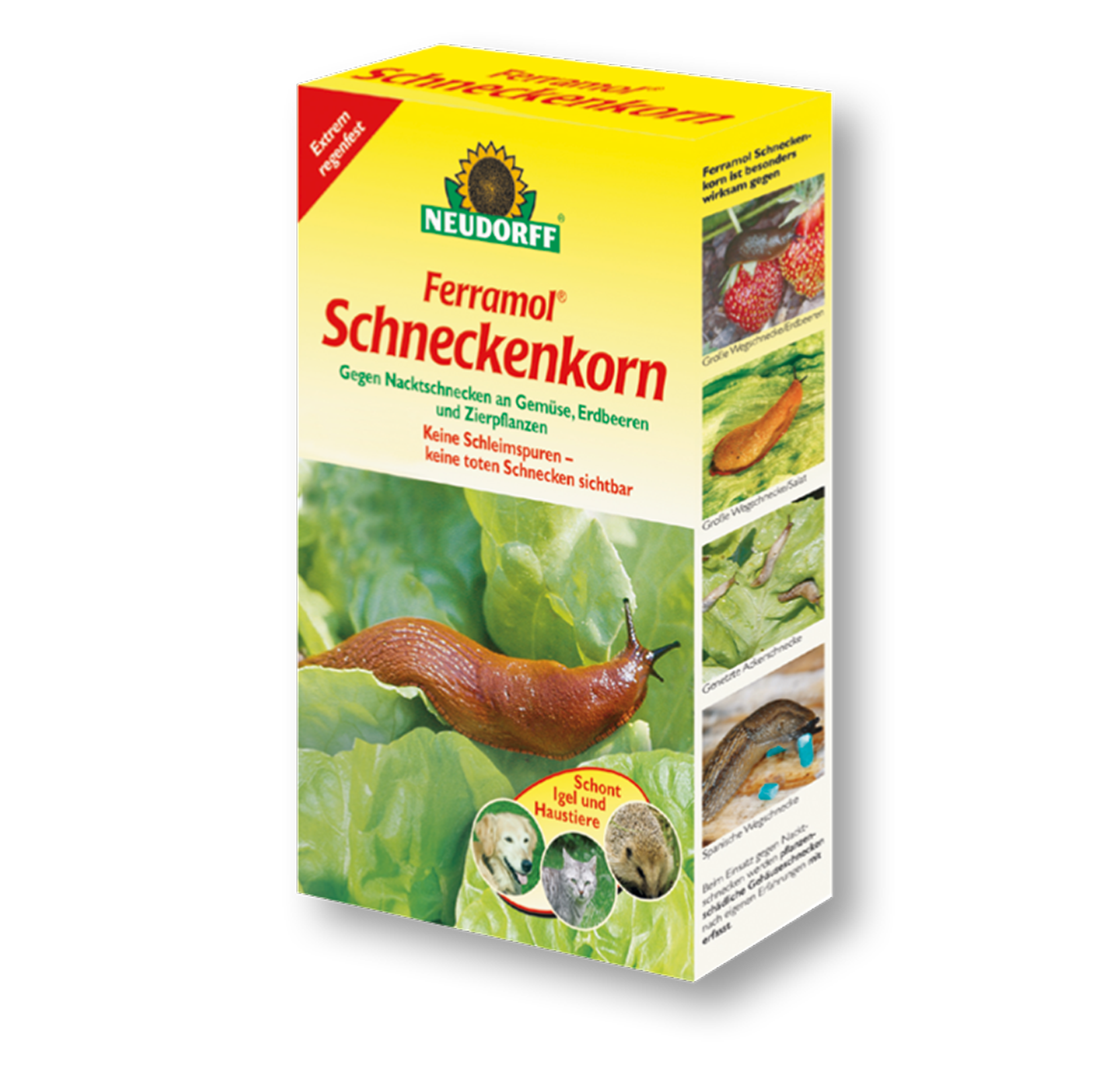 B1 B1Discount Baumarkt